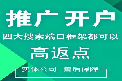 知名SEM竞价代运营公司案例剖析